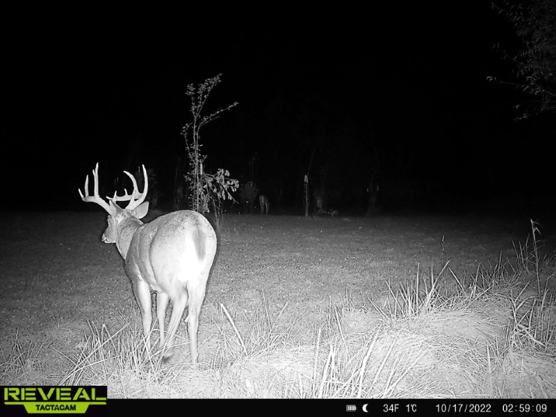 Listing photo 53